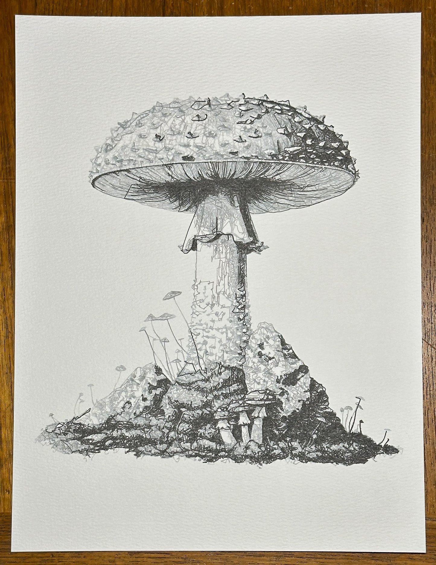 Mushroom 0001